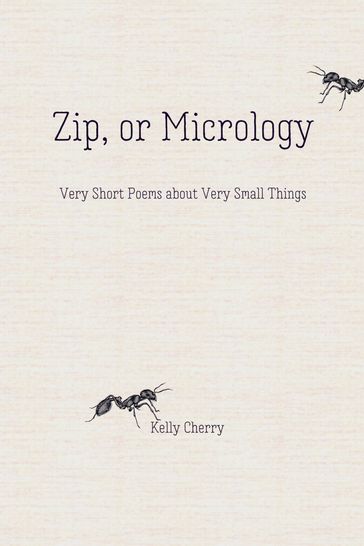 Zip, or Micrology - Kelly Cherry