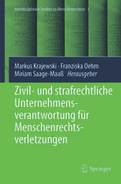 Zivil- und strafrechtliche Unternehmensverantwortung fur Menschenrechtsverletzungen