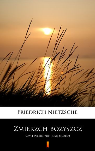 Zmierzch boyszcz - Friedrich Nietzsche