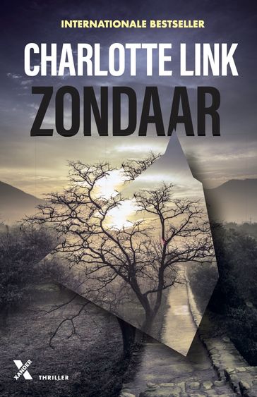 Zondaar - Charlotte Link