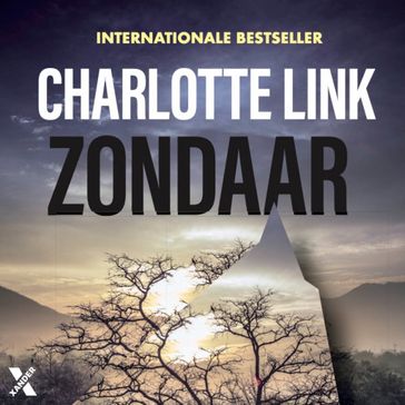Zondaar - Charlotte Link
