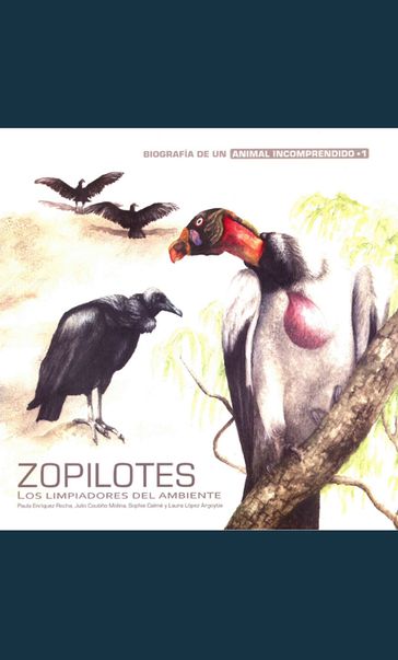 Zopilotes - Julio Coutiño Molina - Laura López Argoytia - Paula Enríquez Rocha - Sophie Calmé