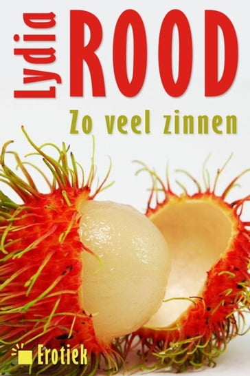 Zoveel zinnen van Lydia Rood - Lydia Rood