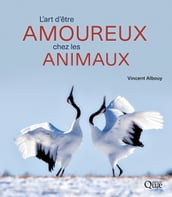 L art d être amoureux chez les animaux