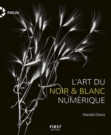 L'art du noir et blanc numérique - Harold Davis