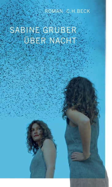 Über Nacht - Sabine Gruber