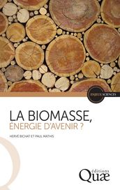 La biomasse, énergie d avenir ?