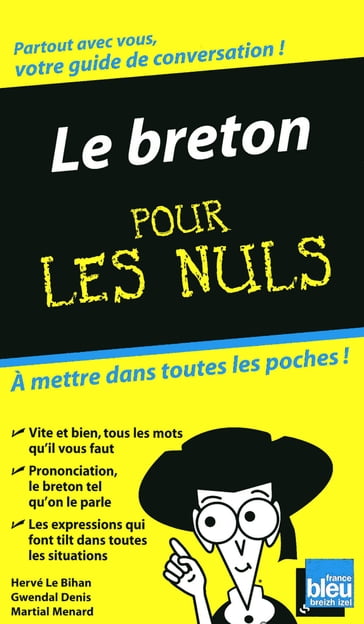 Le breton - guide de conversation pour les nuls - Hervé LE BIHAN - Gwendal DENIS - Martial MENARD