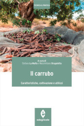 Il carrubo. Caratteristiche, coltivazioni e utilizzi