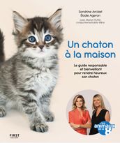 Un chaton à la maison - Animaux de la 8