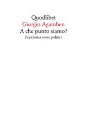 A che punto siamo? L epidemia come politica