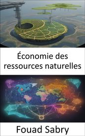 Économie des ressources naturelles