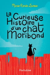 La curieuse histoire d un chat Moribond