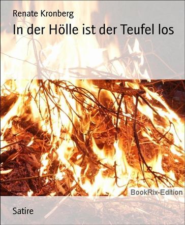 In der Hölle ist der Teufel los - Renate Kronberg