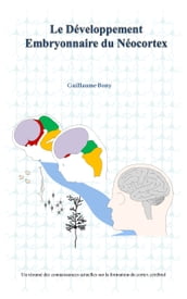 Le développement embryonnaire du néocortex