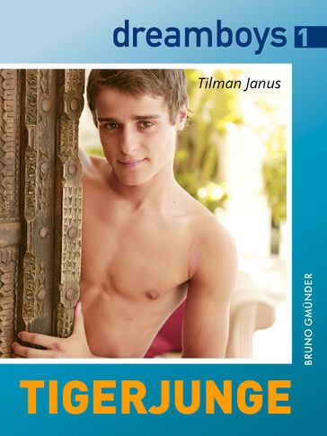 dreamboys 1: Tigerjunge - Tilman Janus