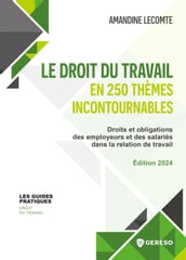 Le droit du travail en 250 thèmes incontournables