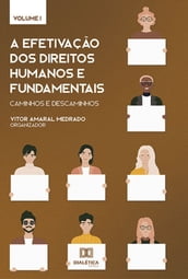 A efetivação dos Direitos Humanos e Fundamentais: caminhos e descaminhos