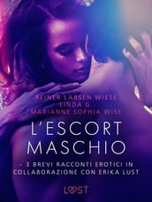 L escort maschio - 3 brevi racconti erotici in collaborazione con Erika Lust