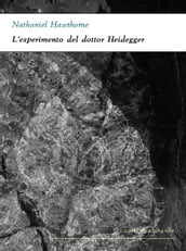 L esperimento del dottor Heidegger