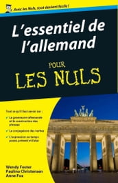 L essentiel de l Allemand pour les nuls