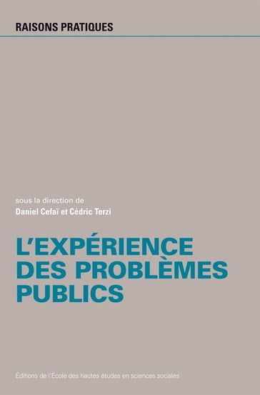 L'expérience des problèmes publics - Collectif