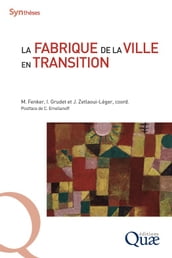 La fabrique de la ville en transition