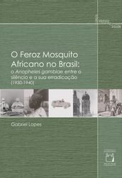 O feroz mosquito africano no Brasil