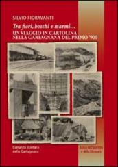 Tra i fiori boschi e marmi. Un viaggio in cartolina nella Garfagnana del primo  900. Ediz. illustrata