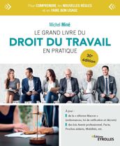 Le grand livre du droit du travail en pratique