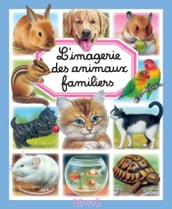 L imagerie des animaux familiers