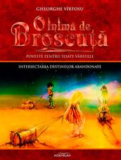 O inima de Broscua. Volumul 7. Intersectarea destinelor abandonate