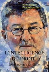 L intelligence du droit : épistémologie juridique