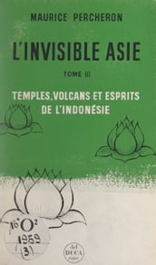 L invisible Asie (3). Temples, volcans et esprits de l Indonésie