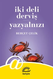 ki Deli Dervi - Yazyalnz