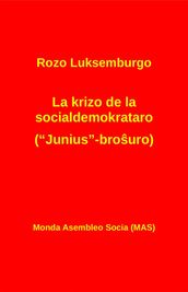 La krizo de la socialdemokrataro (