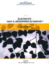 Électricité : faut-il désespérer du marché ?