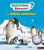 les bebes animaux