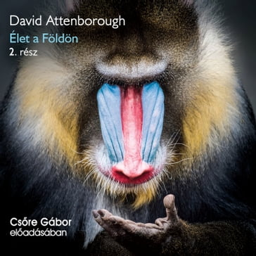 Élet a Földön - 2. rész (teljes) - David Attenborough