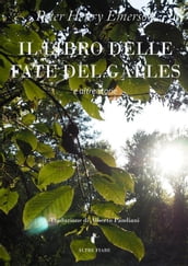 Il libro delle fate del Galles (e altre storie)