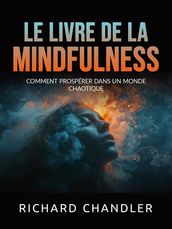 Le livre de la Mindfulness (Traduit)