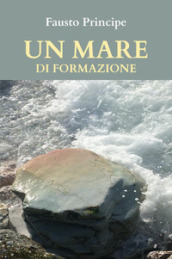 Un mare di formazione. Piccola guida pratica per navigare sicuri nella docenza della formazione d aul