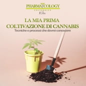 La mia prima coltivazione di cannabis