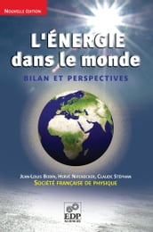 L  Énergie dans le monde (Nelle Ed.) - Bilan et perspectives