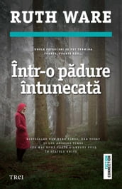 Într-o padure întunecata