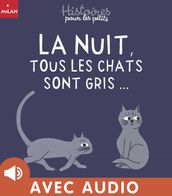 La nuit tous les chats sont gris