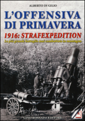 L offensiva di primavera. 1916: strafexpedition. La più grande battaglia mai combattuta in montagna