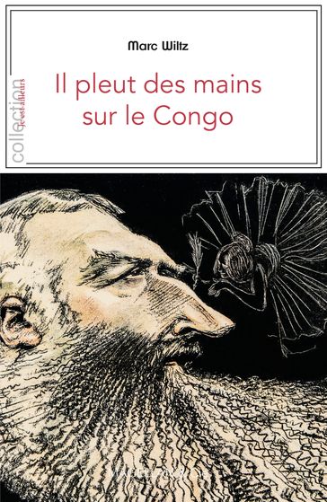 Il pleut des mains sur le Congo - Marc Wiltz