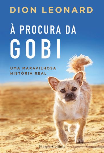 À procura da gobi - Dion Leonard