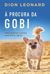 À procura da gobi